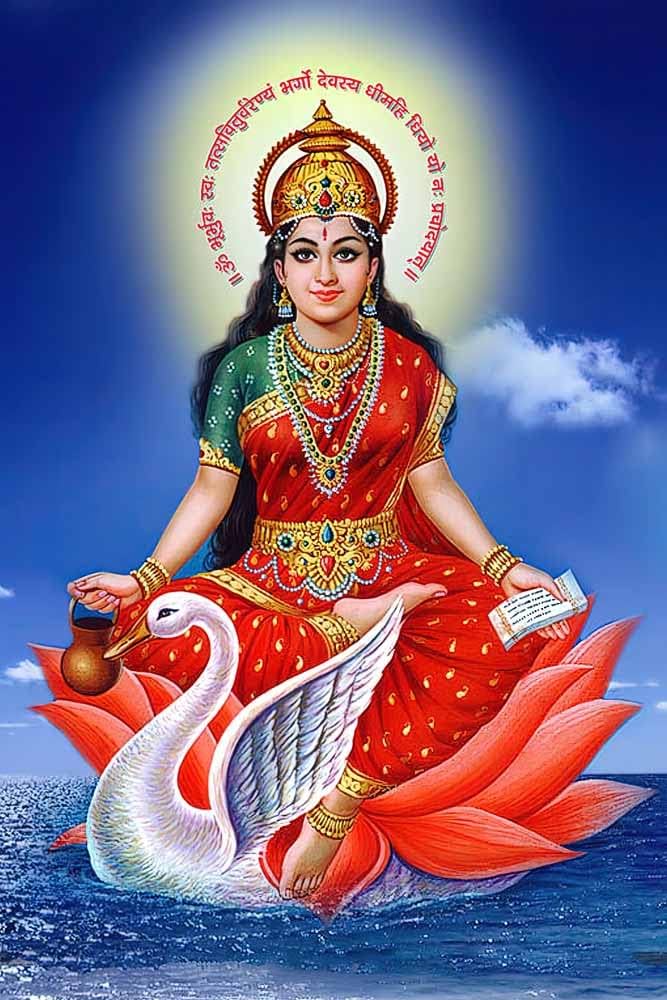गायत्री जयंती पर पंच कुंडीय गायत्री महायज्ञ एवं अखंड जाप का आयोजन*