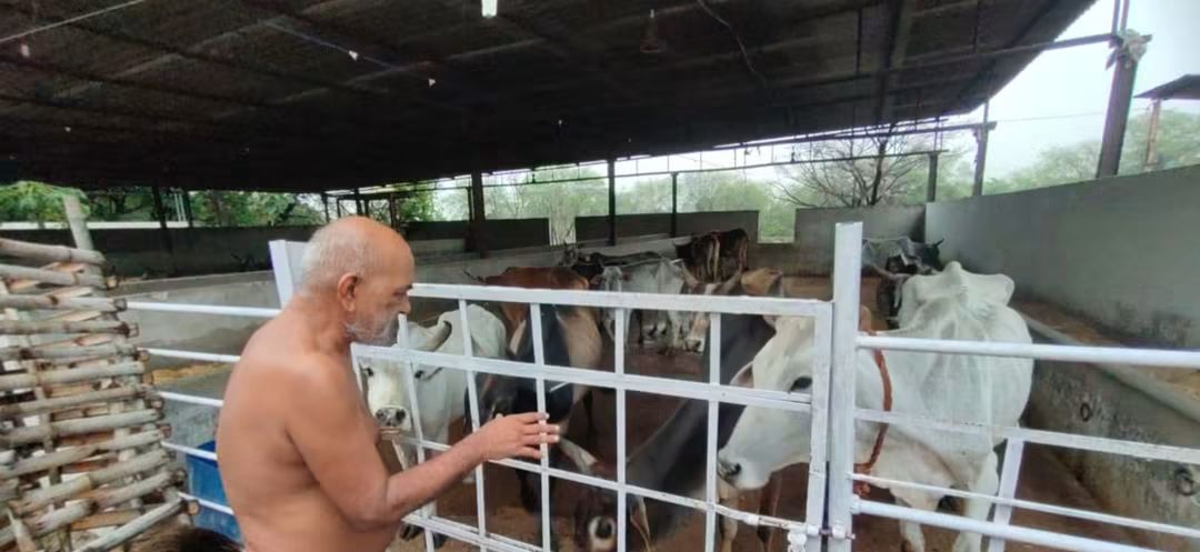 गोसेवा एवं प्राणी सेवा ही ईश्वर की सच्ची सेवा है : निर्यापक मुनि श्री समता सागर महाराज