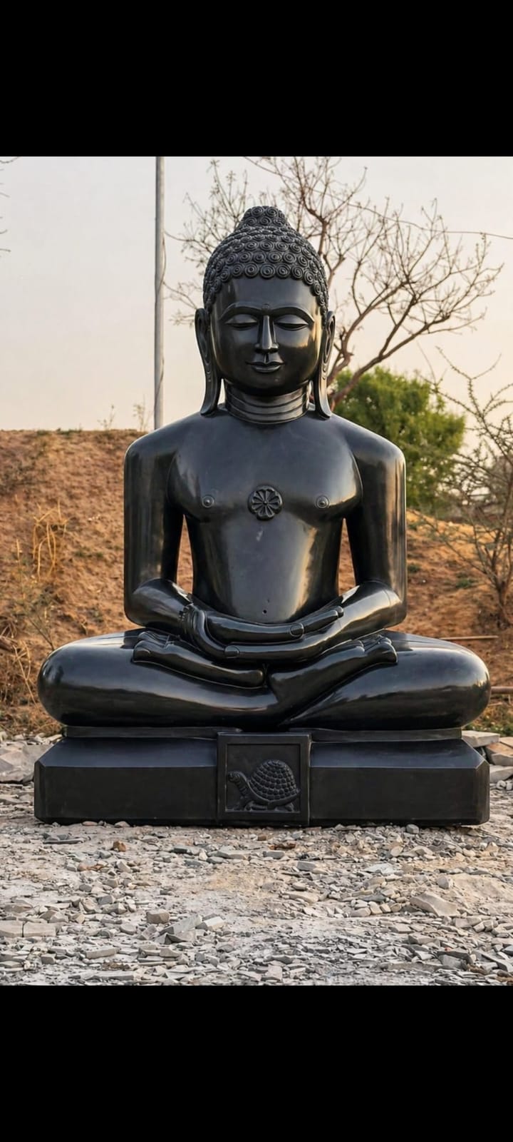12 जुलाई को नौगामा में होगा दिव्य इतिहास का साक्षात्कार, भगवान मुनि सुव्रतनाथ की 21 फीट ऊंची भव्य प्रतिमा का मंगल प्रवेश